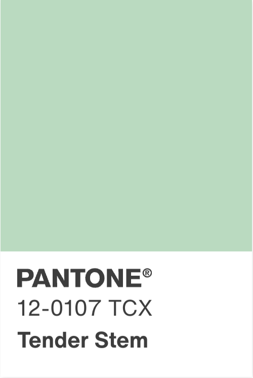 Mint 208