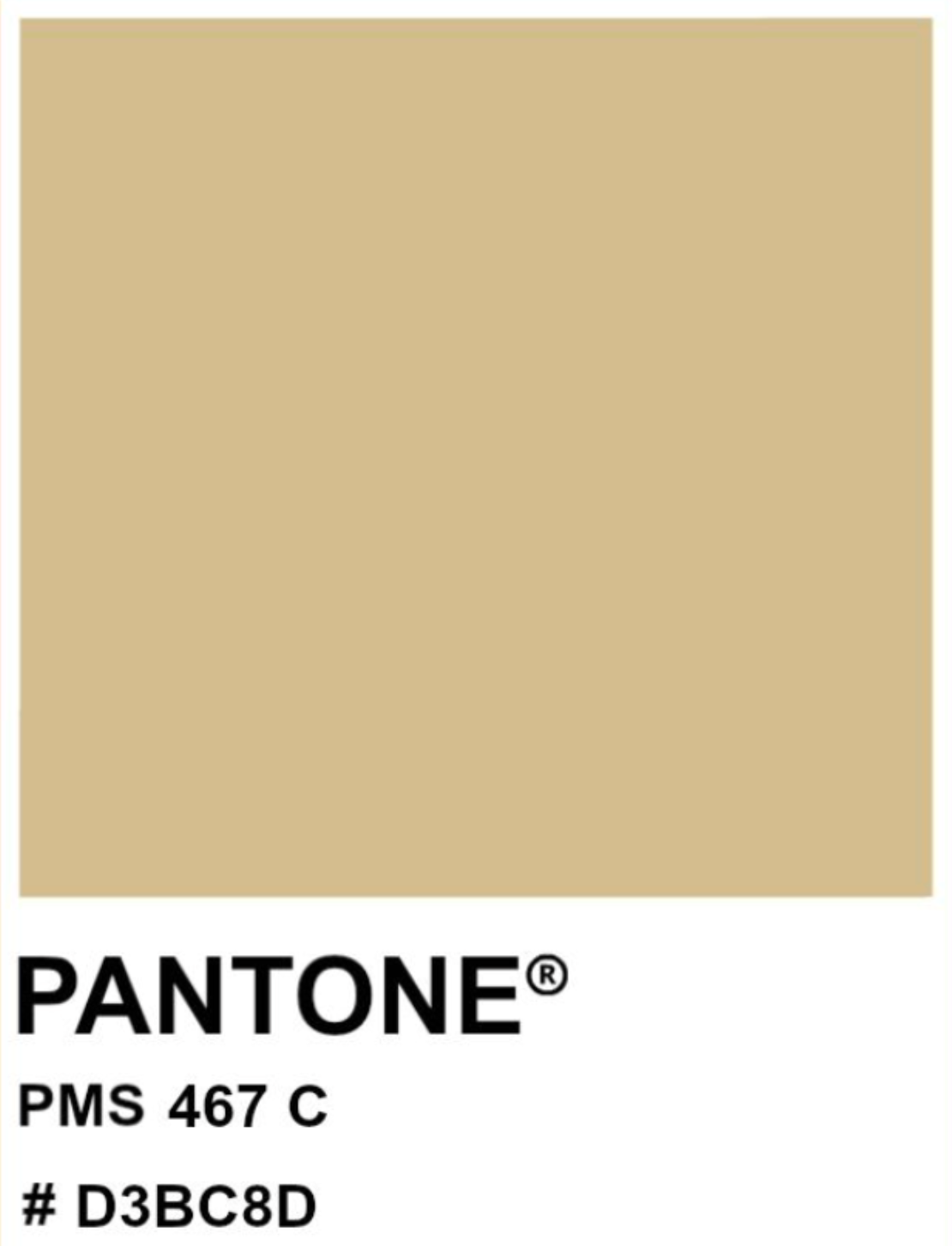 Beige 204