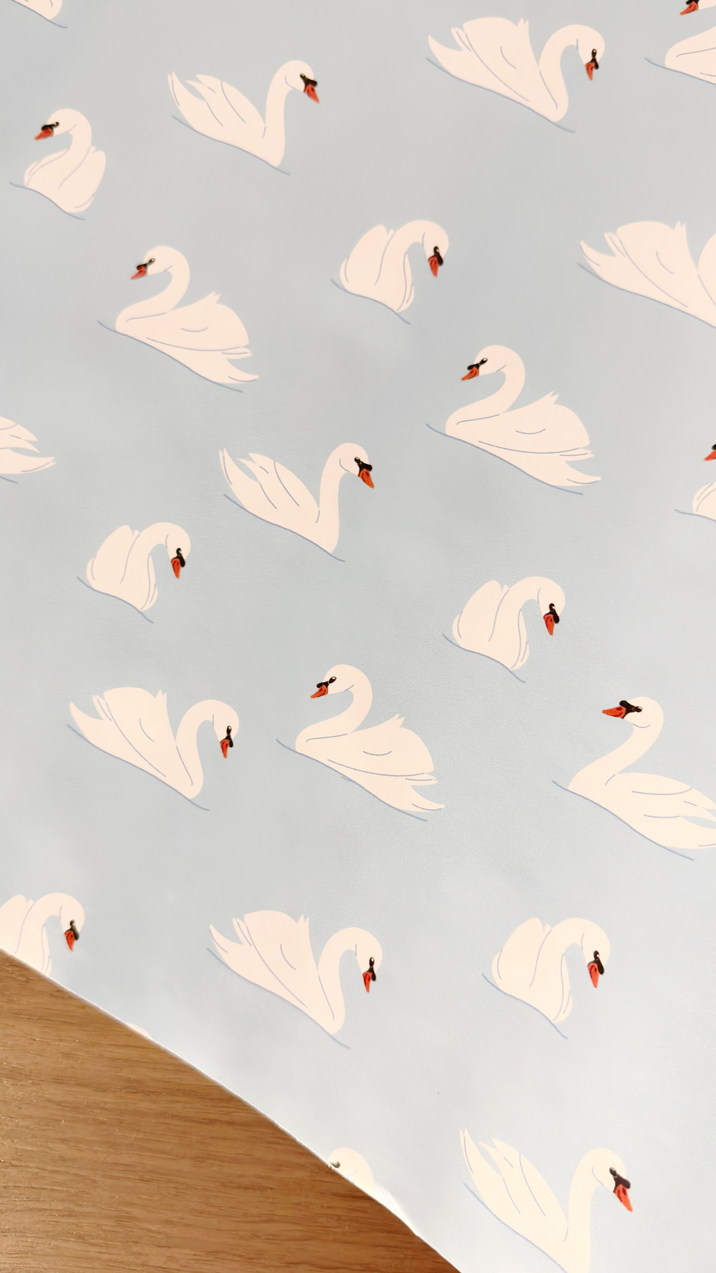 Swan Lake