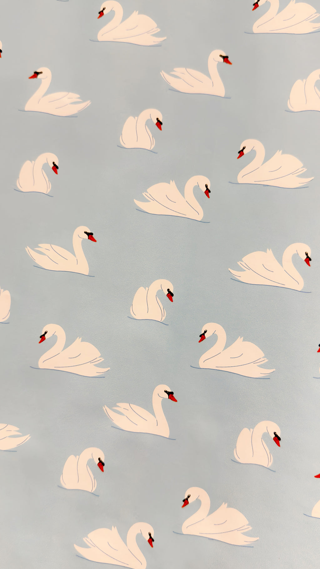 Swan Lake