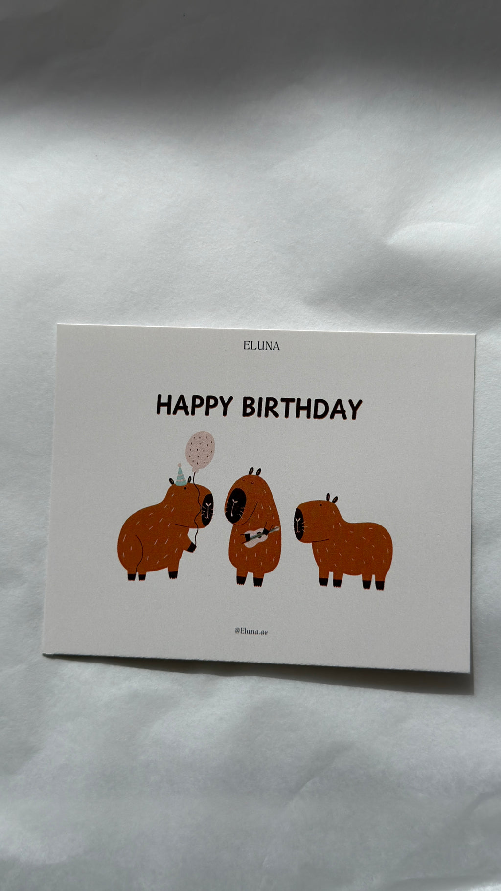 Happy Birthday 3 capybara Message Card