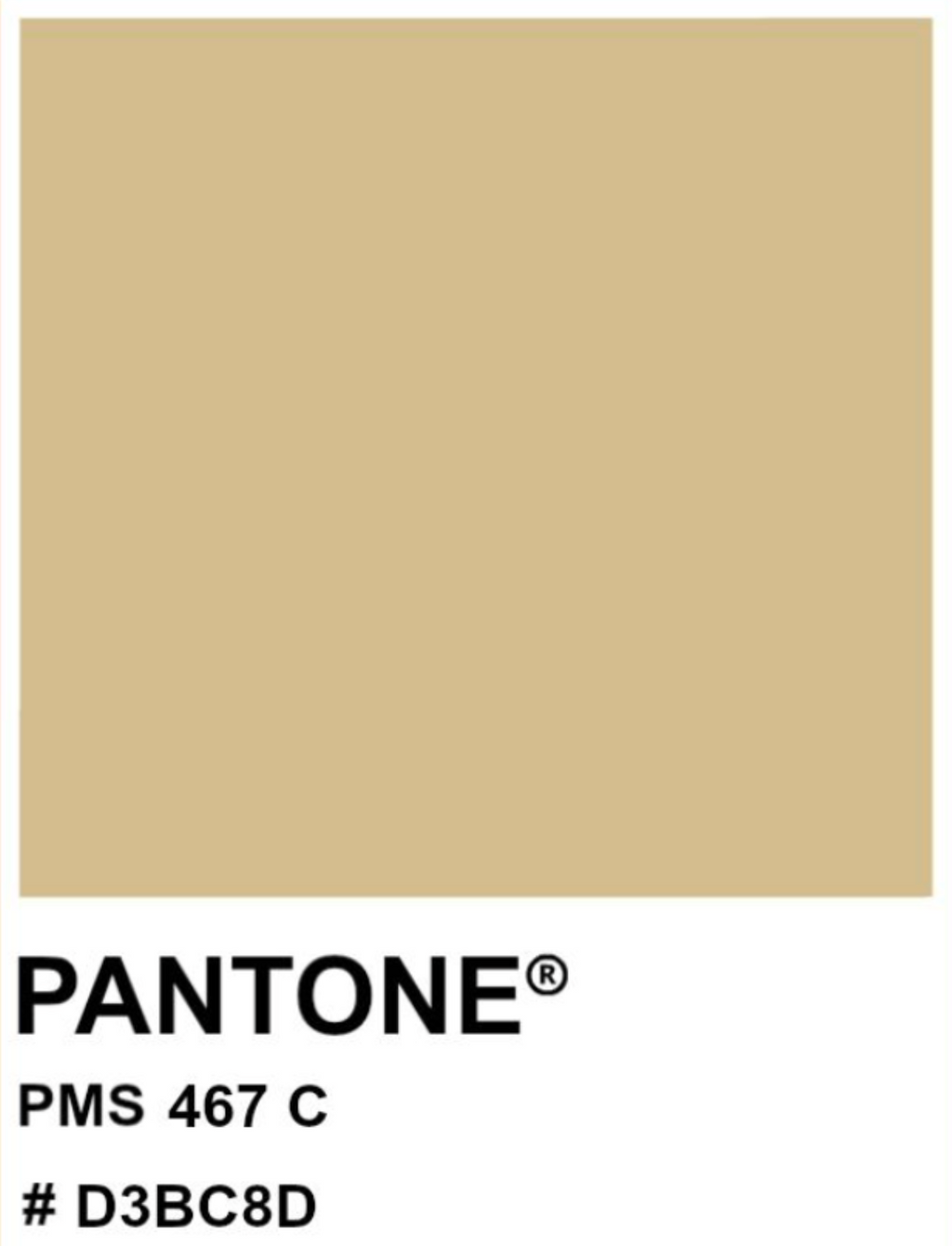 Beige 204