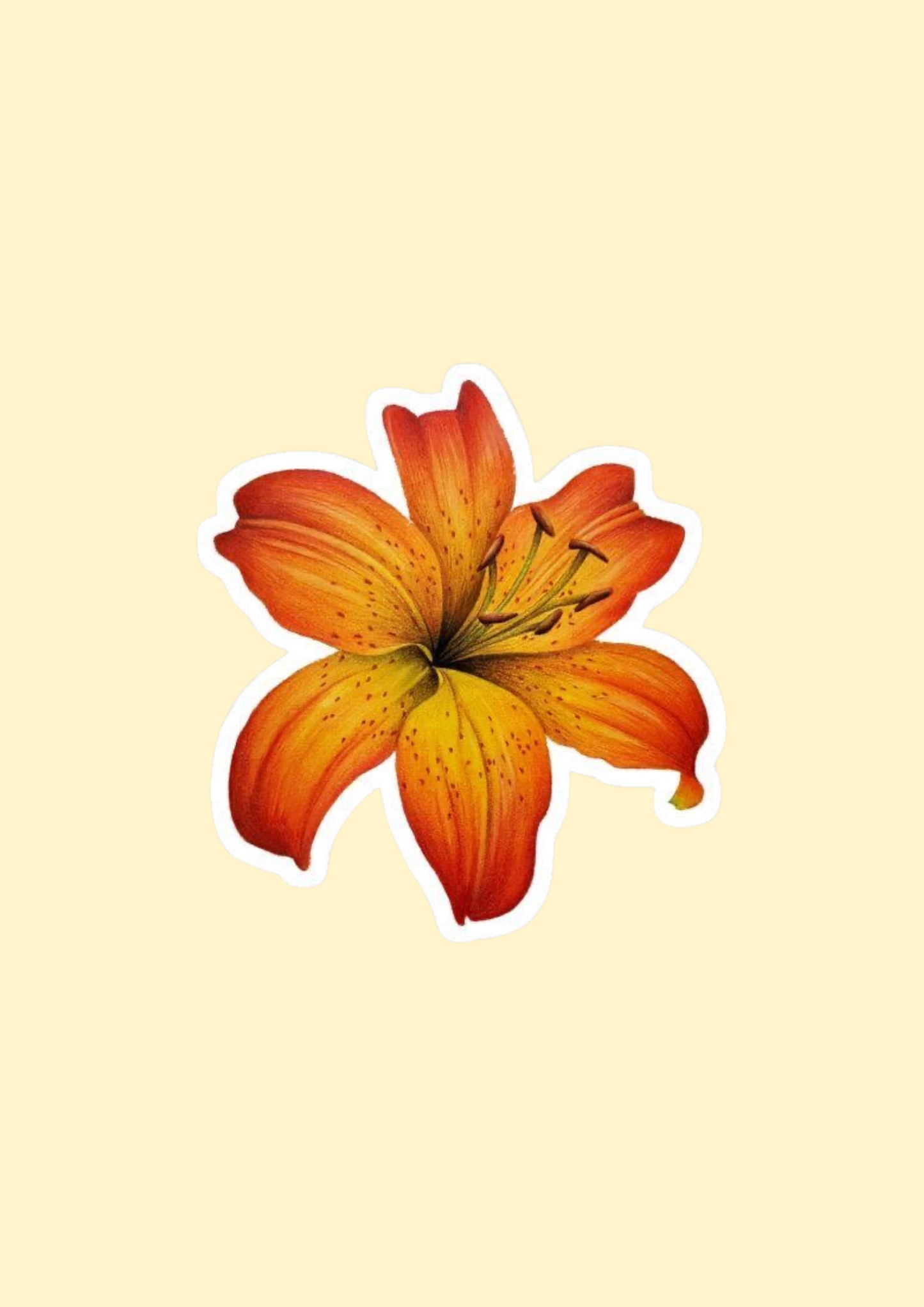 Tiger Lily