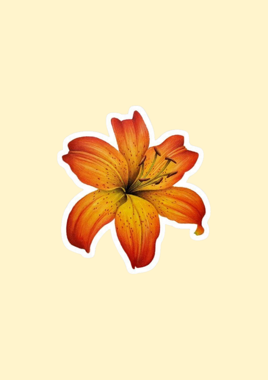 Tiger Lily