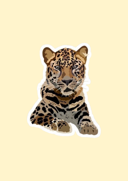 Leopard